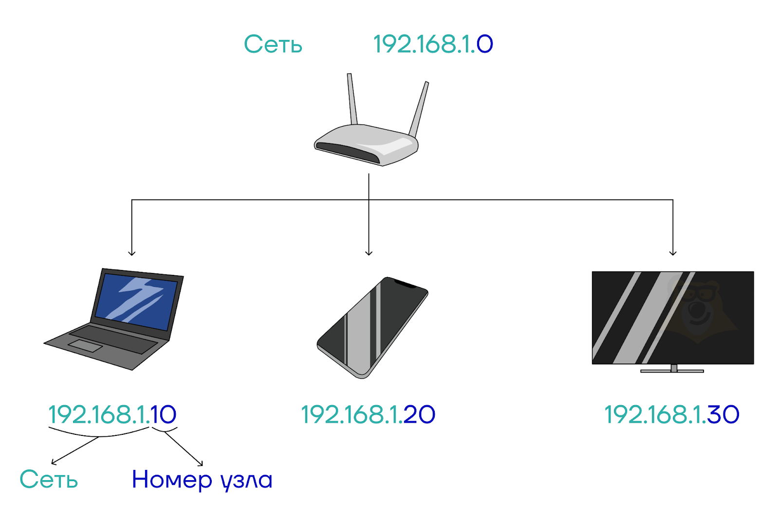 Структура IP-адреса - Умскул Учебник