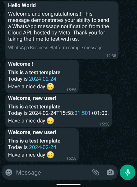 WhatsApp bot template message with custom variables