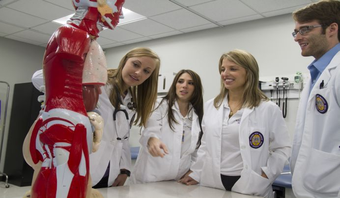 A group of LSU School of Medicine students in a laboratory setting, wearing lab coats and conducting research using an anatomy model