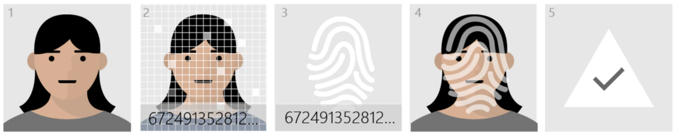 A fingerprint with numbers and a numberDescription automatically generated