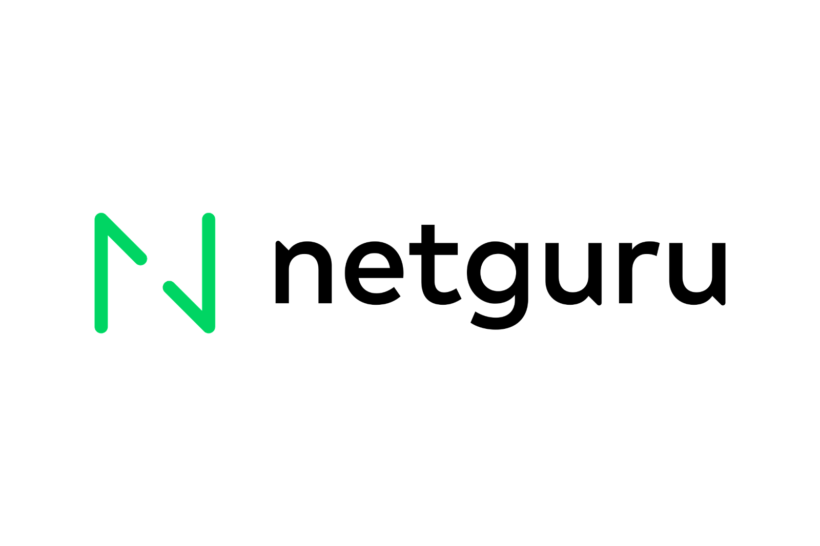 netguru logo green 