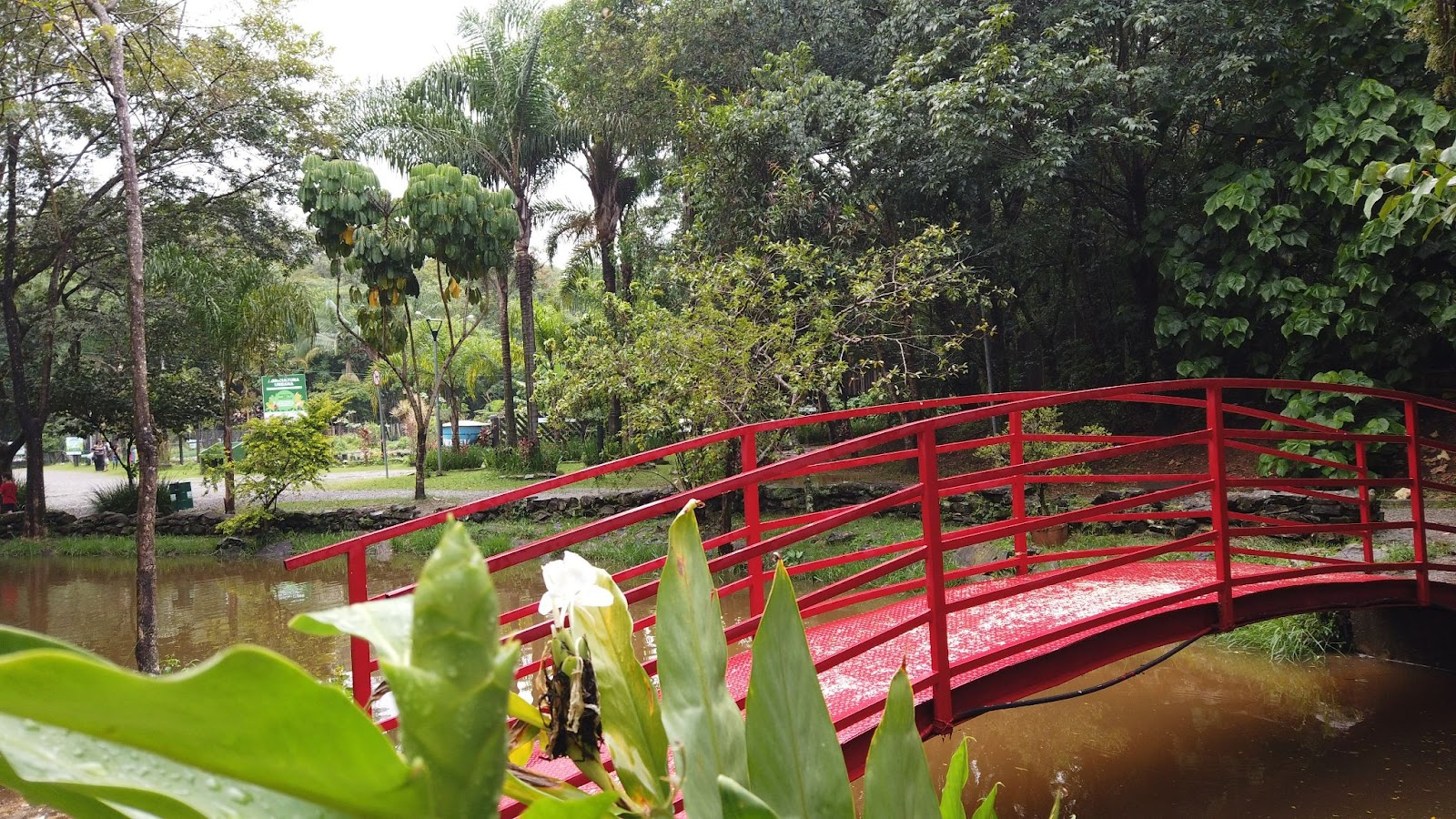 Ponte vermelha sob um lago, cercado por árvores e arbustos.