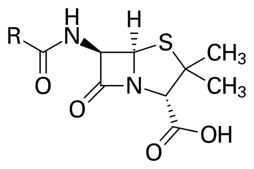 Chemical structure of the Penicillin core