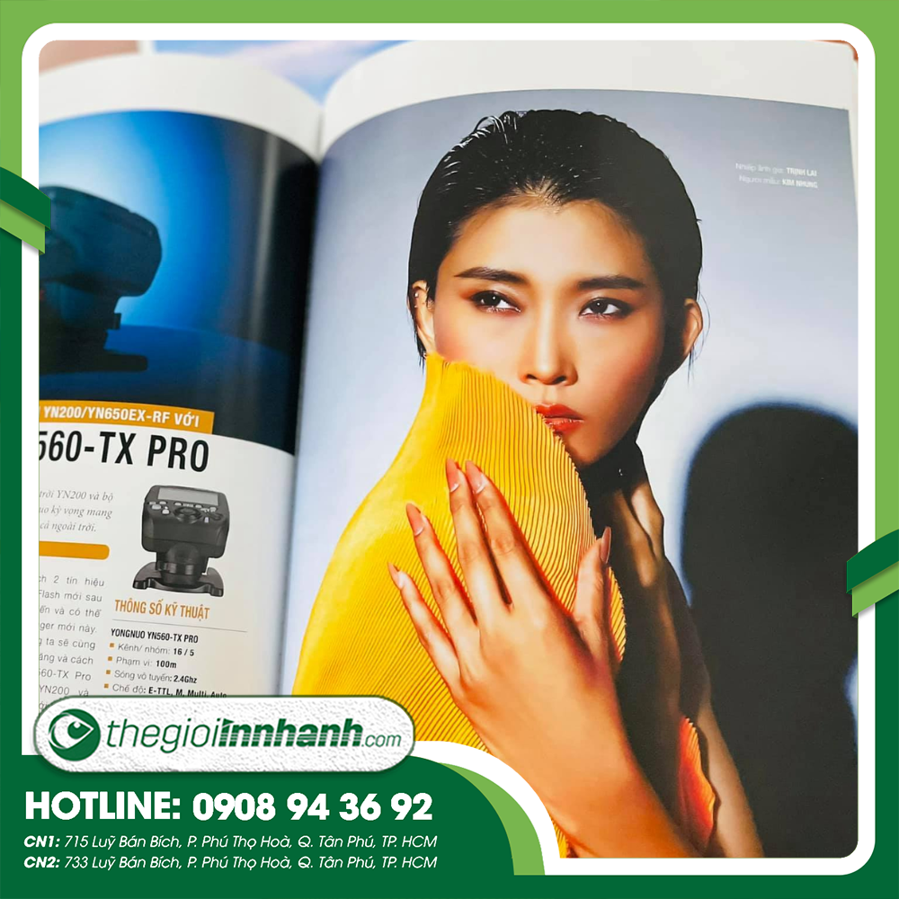 In Catalogue Đẹp