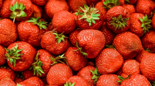 plusieurs fraises