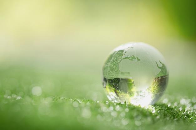 Free photo close up of crystal globe resting on grass in a forest