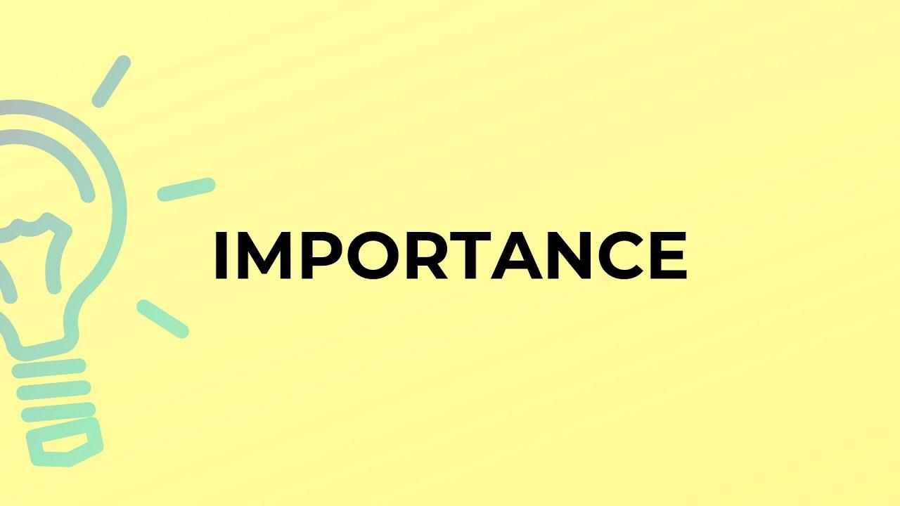What is the meaning of the word IMPORTANCE?