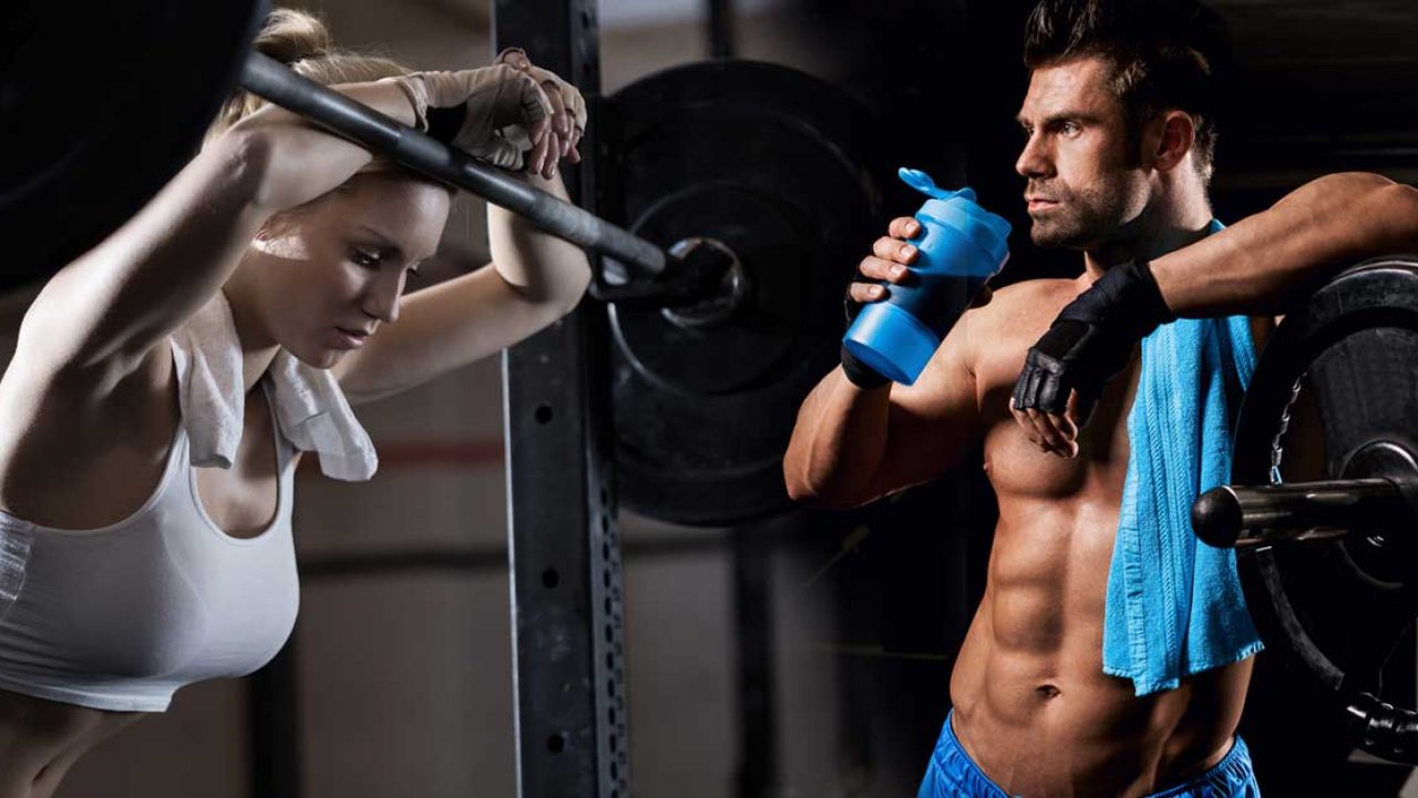 Your Fitness Gym Guide