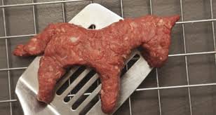 The Horse Meat Scandal