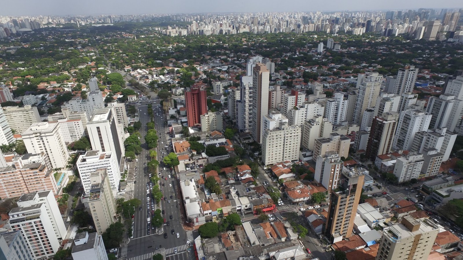 Foto área da cidade de São Paulo, com prédios a frente e bairros arborizados ao fundo.