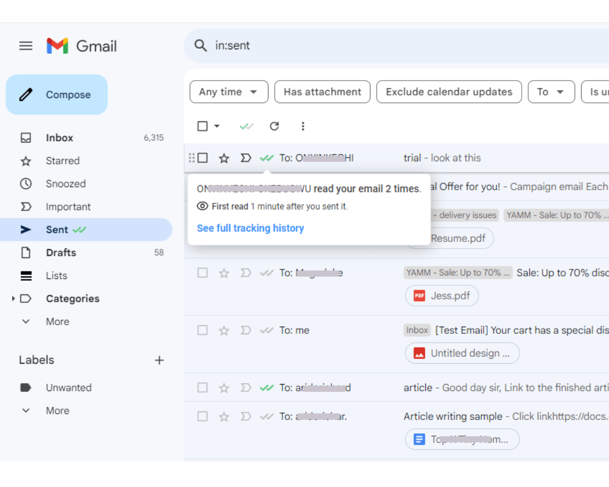 Hover over the Mailsuite check marks to see tracking information for each tracked email