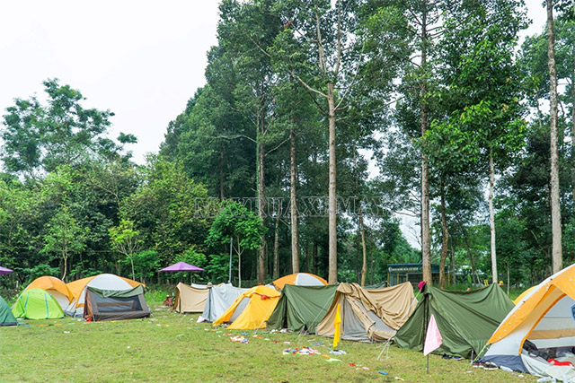 Cắm trại tại VQG Cát Tiên (Ảnh VQG Cát Tiên)