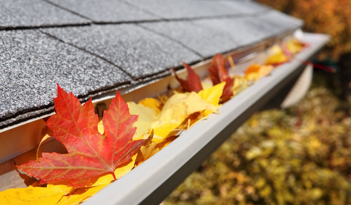 How Often to Clean Gutters