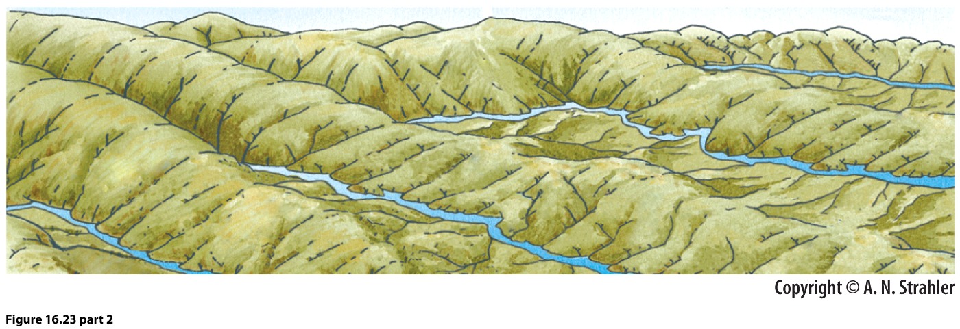 Lesson 19: Landforms Made by Waves and Wind | Geographical Perspectives