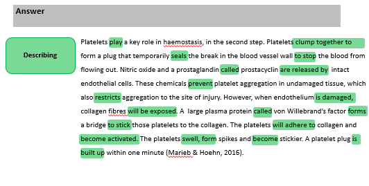 Answer showing verbs used to describe process