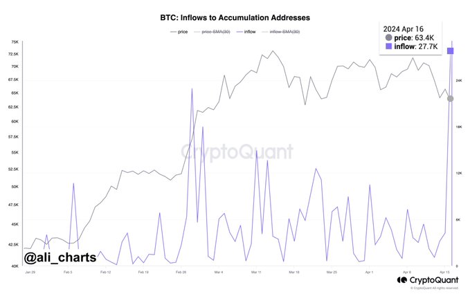 Bitcoin, Buy the Dip Sentiments Engulf the Bitcoin Network as Arewave Rival Aspires Impressive Growth
