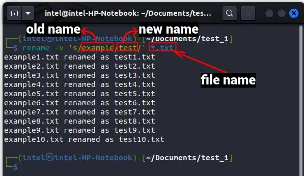 Rename Multiple Files Using Rename Commands