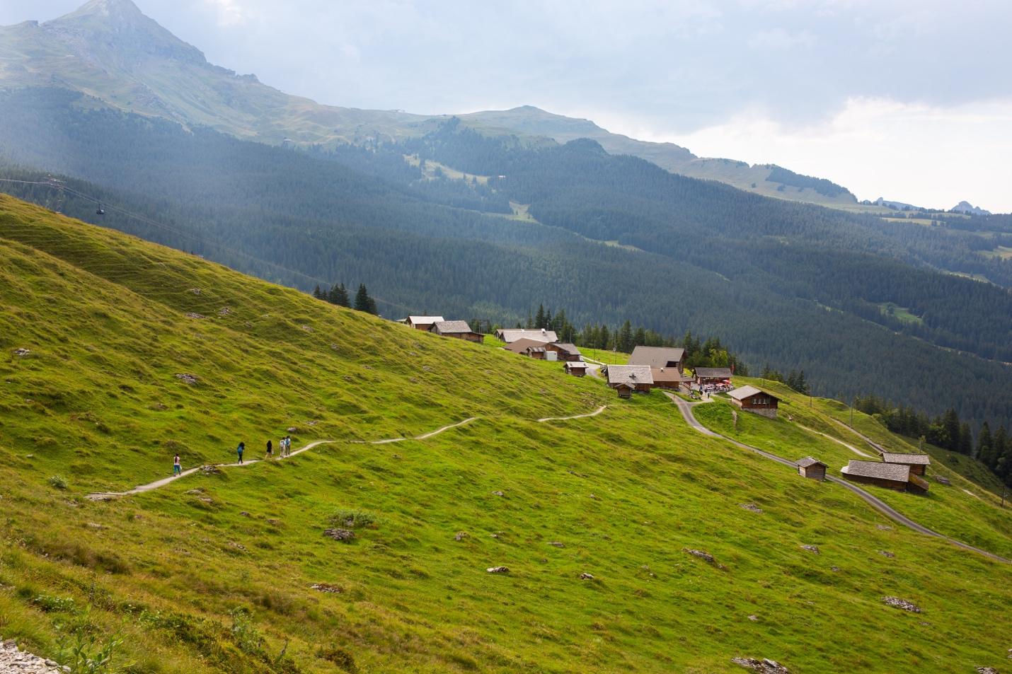 A group of people walking on a hill

Description automatically generated