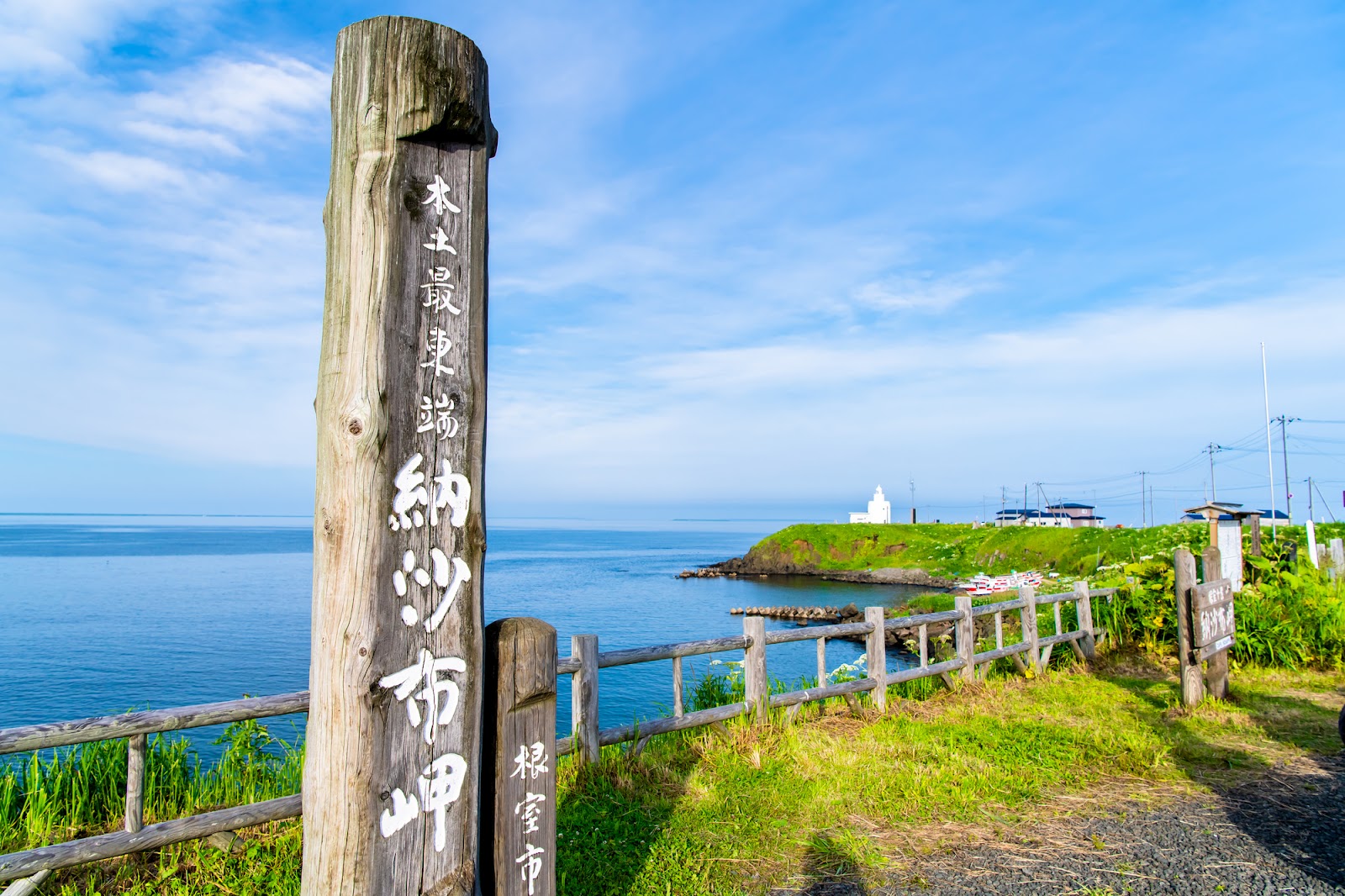 可愛らしいラッコに会えるかも「納沙布岬」