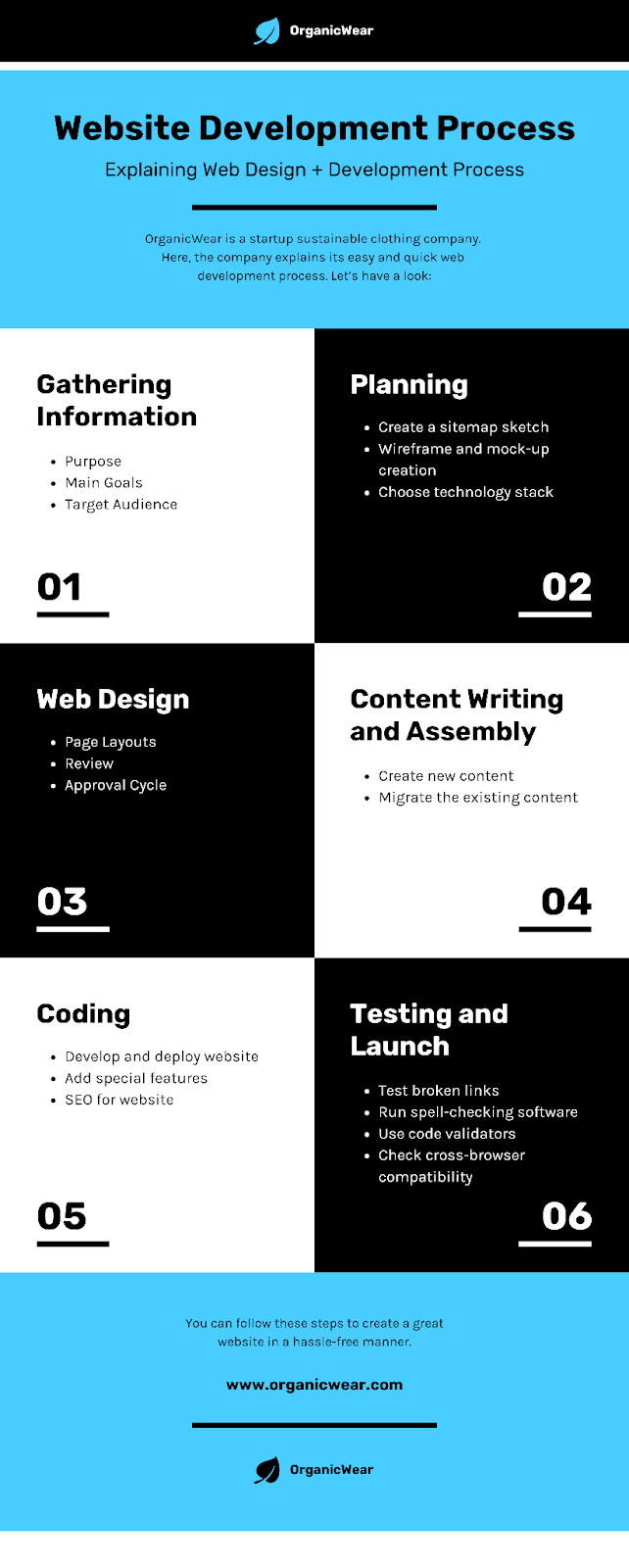 Website Development Process Infographic