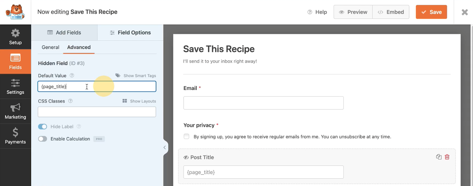 Screen shot of how to use smart fields under, "Field Options" in WPForms for email marketing for bloggers