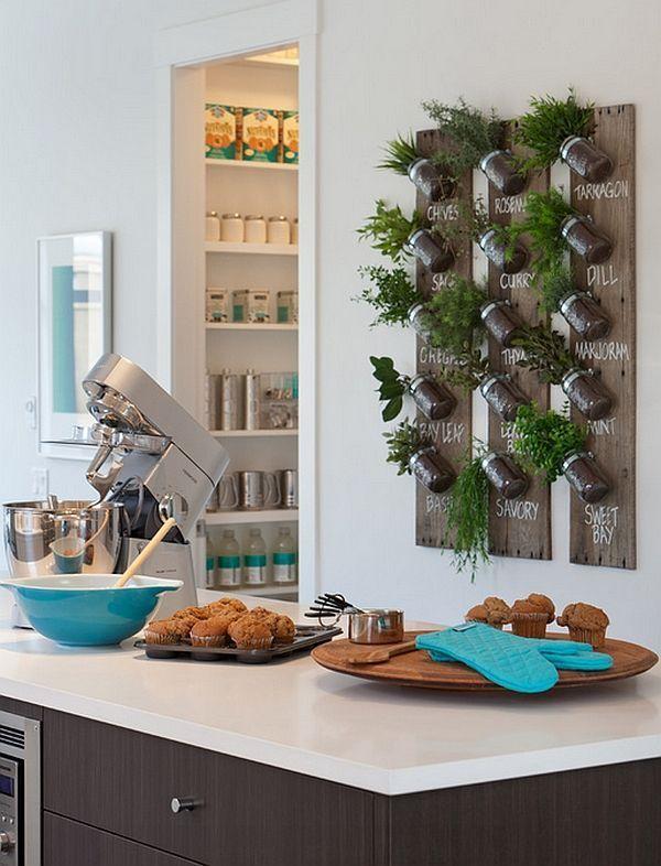 herb wall kitchen decorating ideas