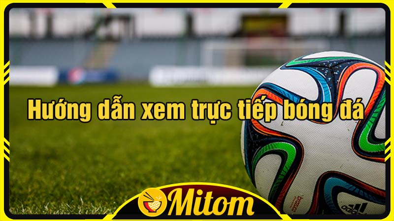 MiTom TV - Kết quả bóng đá trực tuyến | KQBD hôm nay-2