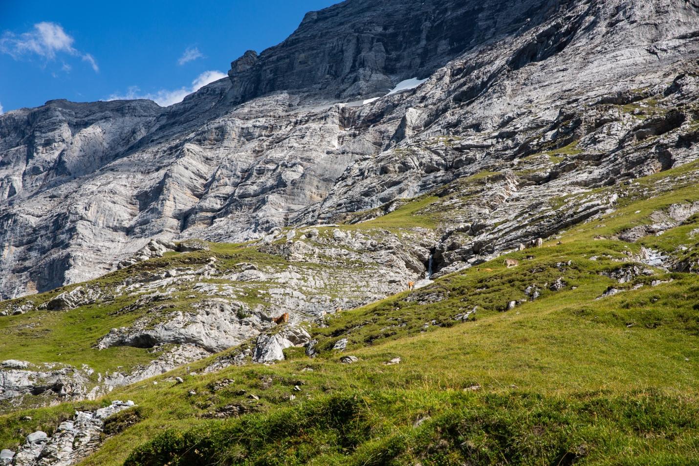 A mountain with grass and rocks

Description automatically generated