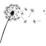 C:\Users\Utente\AppData\Local\Packages\Microsoft.Windows.Photos_8wekyb3d8bbwe\TempState\ShareServiceTempFolder\soffione.jpeg