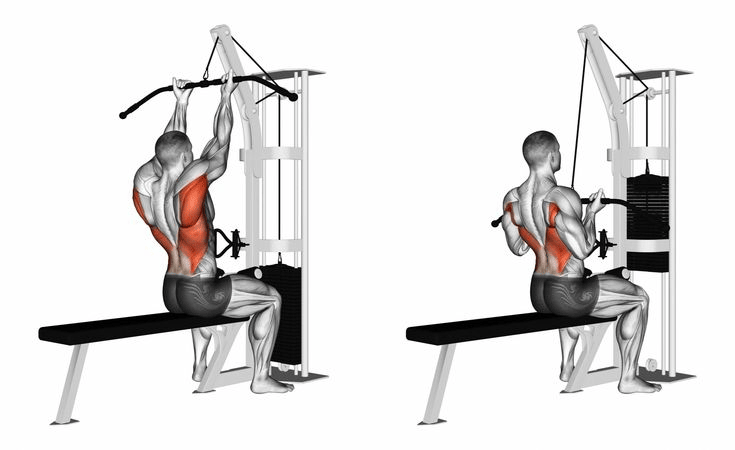 seated chest press