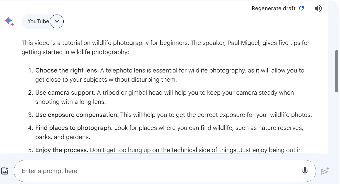 Google Bard using its YouTube Extension To Comprehend and Summarize Videos