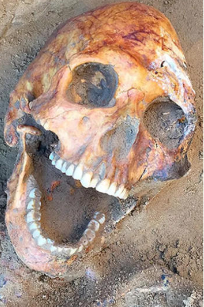 Ancient Nomadic ‘royalty Resurfaces Russian Farmer Unearths 2000 Year Old Discovery 