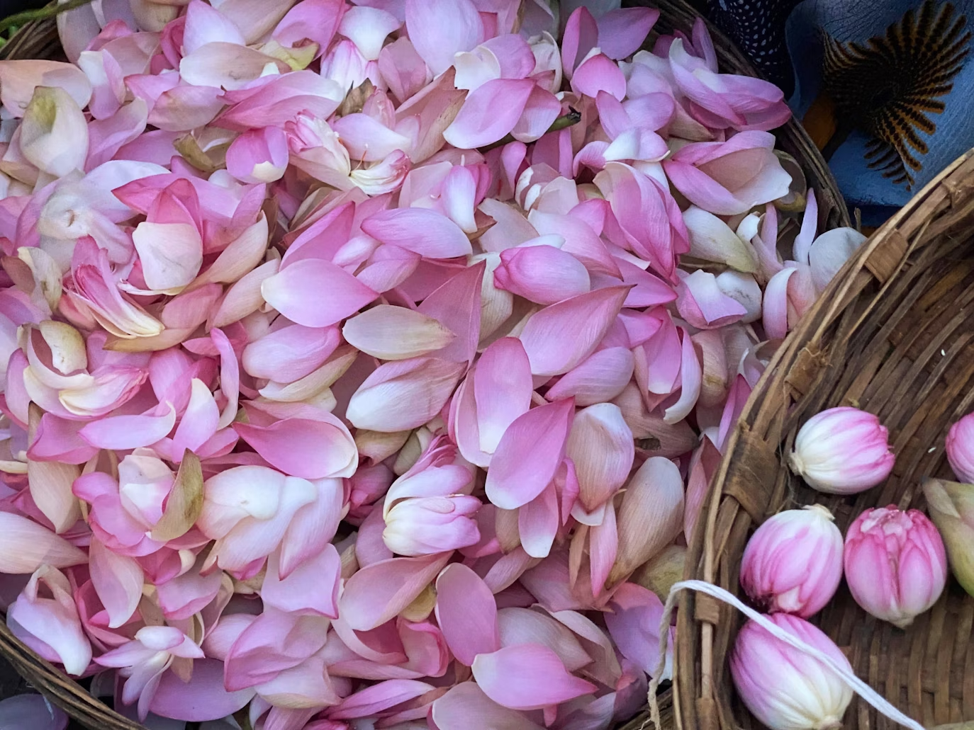 Floral Decor