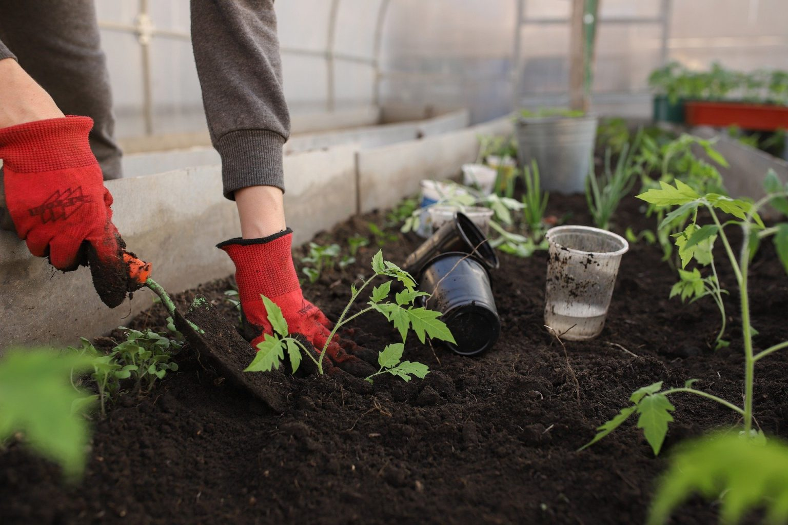 membuat kebun teras mini