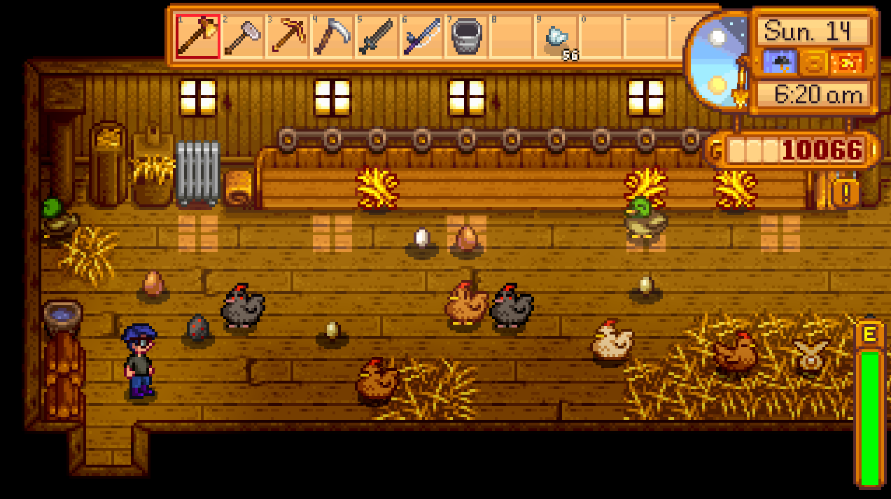 Chicken Stardew Valley