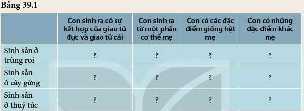 Khoa học tự nhiên 7 Bài 39: Sinh sản vô tính ở sinh vật | KHTN 7 Kết nối tri thức (ảnh 2)