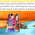 20+ chhath puja quotes in english | happy chhath puja quotes in english