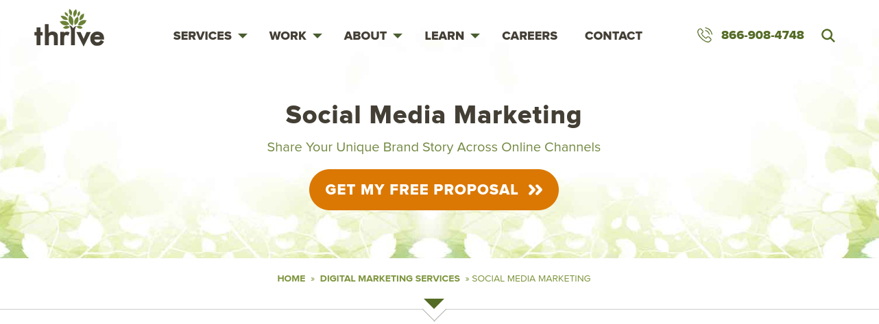 Social Media Advertising Agency, Digital Marketing