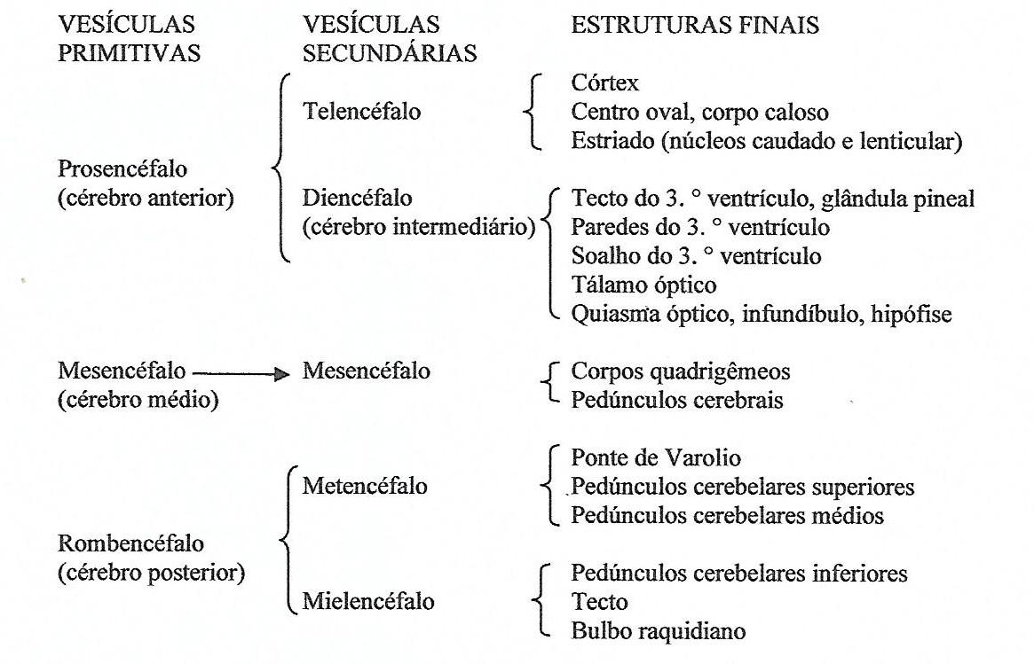 DiagramaDescrição gerada automaticamente