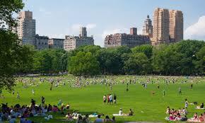 D:\Usuarios\beatriz.narbona\Pictures\central park.jpg