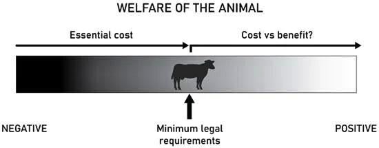 Image of Different aspects in animal welfare