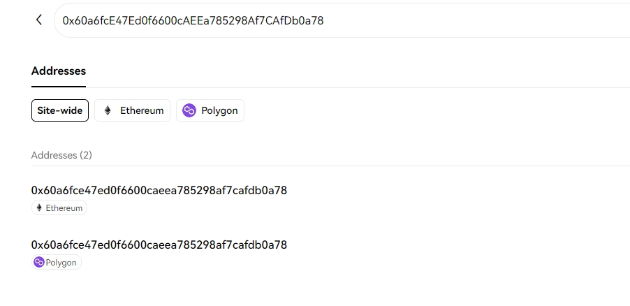 同じ 0x アドレスが複数のチェーンに現れる可能性がある [OKLink Explorer]