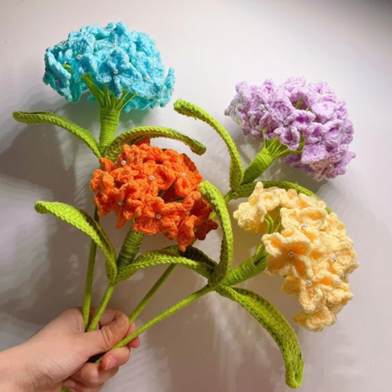 Hoa kẽm nhung - Một loại hoa độc đáo và đẹp mắt