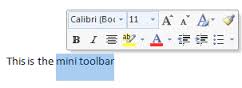 Image result for word 2013 mini toolbar