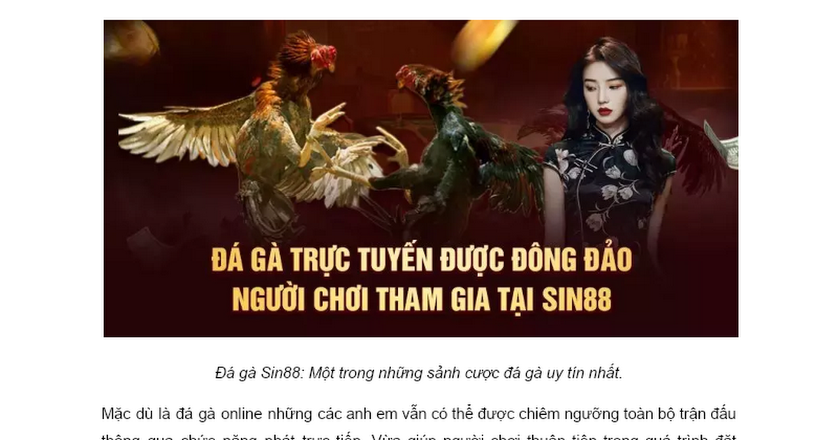 Đá gà Sin88 - Sân chơi cho những tay đá gà tài ba