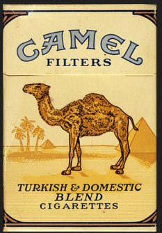 camel   cigar  nicotine