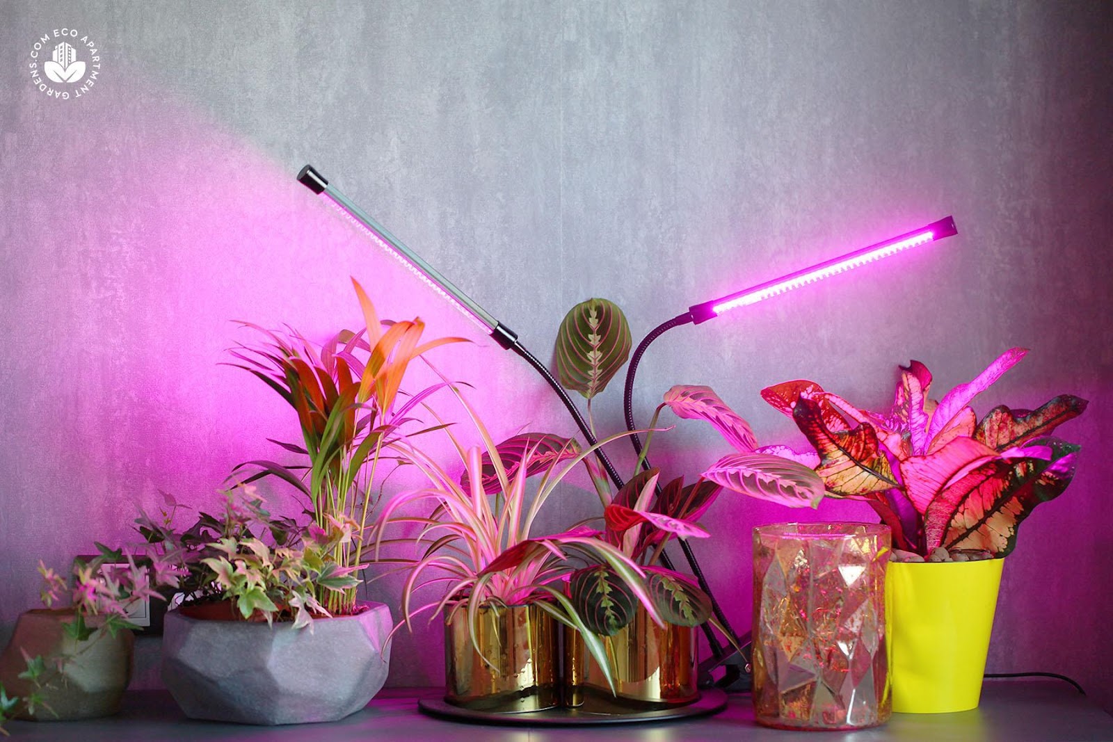 Full Spectrum LED Grow Lights for Plants