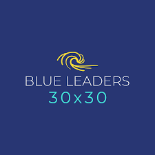Blue Leaders