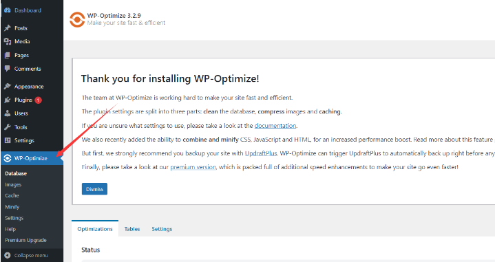 Optimize Your Database with WP optimize plugin