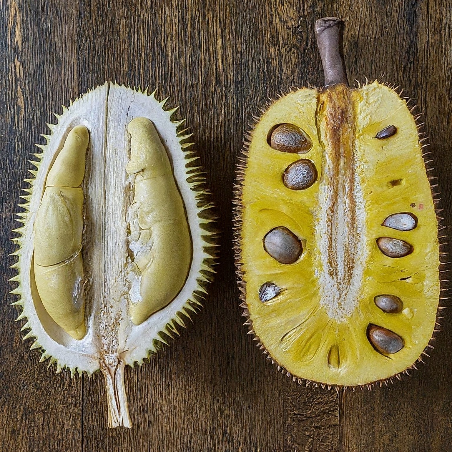 difference between durian and jackfruit